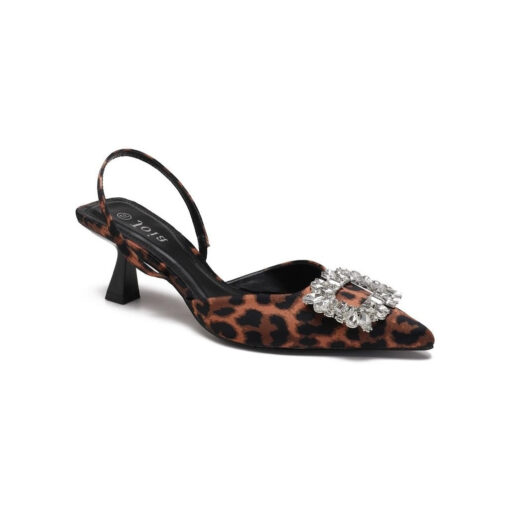 Amanda Dame Stillet H- - Leo Female